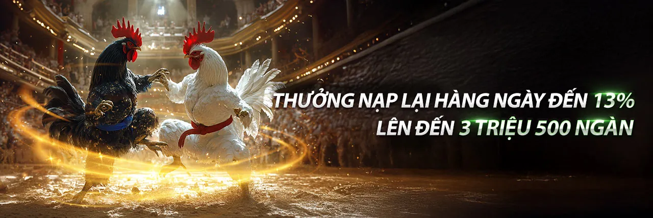Sân đá gà Thomo trực tiếp